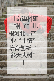 京津科研“种子”扎根河北，产业“土壤”培育创新“参天大树”