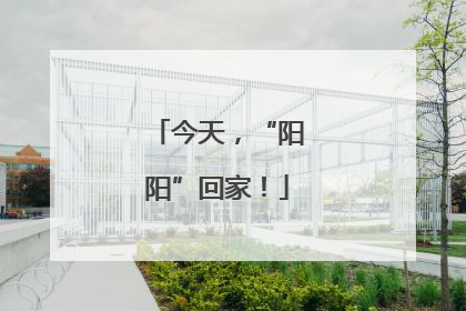 今天，“阳阳”回家！