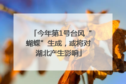今年第1号台风“蝴蝶”生成，或将对湖北产生影响