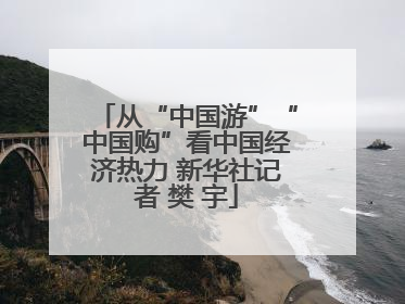 从“中国游”“中国购”看中国经济热力 新华社记者 樊 宇
