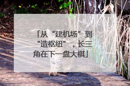 从“建机场”到“造枢纽”，长三角在下一盘大棋