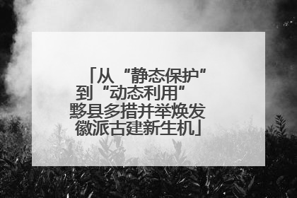 从“静态保护”到“动态利用” 黟县多措并举焕发徽派古建新生机