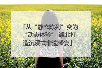 从“静态陈列”变为“动态体验” 湖北打造沉浸式非遗盛宴