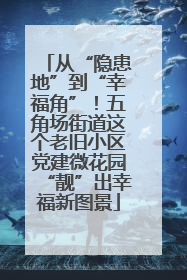 从“隐患地”到“幸福角”!五角场街道这个老旧小区党建微花园“靓”出幸福新图景