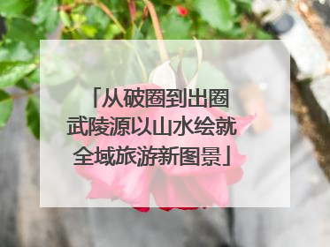 从破圈到出圈 武陵源以山水绘就全域旅游新图景
