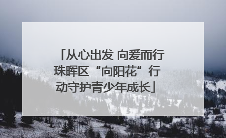 从心出发 向爱而行 珠晖区“向阳花”行动守护青少年成长