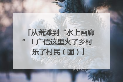 从荒滩到“水上画廊”！广信这里火了乡村 乐了村民（图）