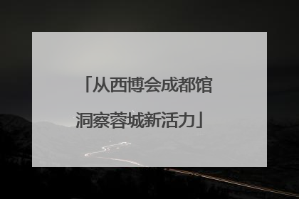 从西博会成都馆洞察蓉城新活力