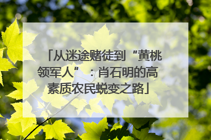 从迷途赌徒到“黄桃领军人”：肖石明的高素质农民蜕变之路