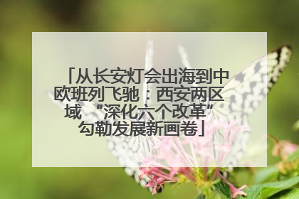 从长安灯会出海到中欧班列飞驰：西安两区域 “深化六个改革” 勾勒发展新画卷