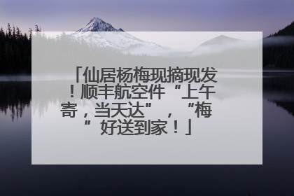仙居杨梅现摘现发！顺丰航空件“上午寄，当天达”，“梅”好送到家！