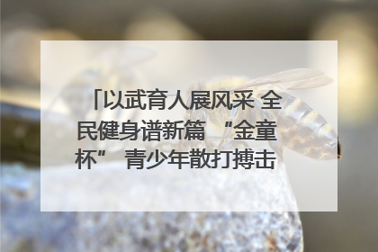 以武育人展风采 全民健身谱新篇 “金童杯” 青少年散打搏击邀请赛圆满落幕