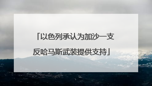 以色列承认为加沙一支反哈马斯武装提供支持