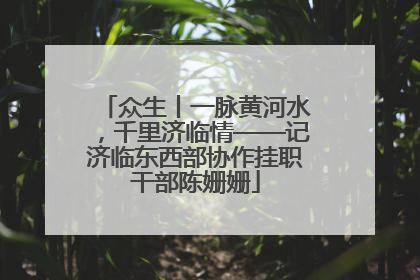 众生丨一脉黄河水，千里济临情——记济临东西部协作挂职干部陈姗姗
