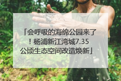 会呼吸的海绵公园来了！杨浦新江湾城7.35公顷生态空间改造焕新