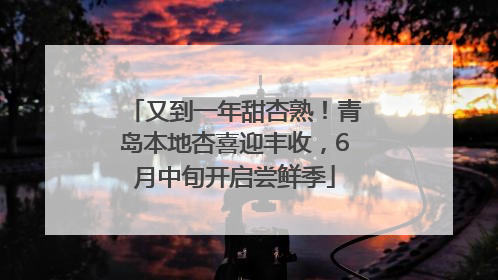 又到一年甜杏熟！青岛本地杏喜迎丰收，6月中旬开启尝鲜季