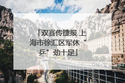 双赛传捷报 上海市徐汇区军休“乒”劲十足