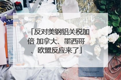 反对美钢铝关税加倍 加拿大、墨西哥、欧盟反应来了