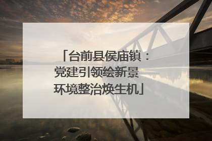 台前县侯庙镇：党建引领绘新景 环境整治焕生机