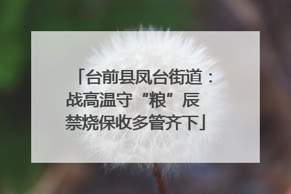 台前县凤台街道：战高温守“粮”辰 禁烧保收多管齐下