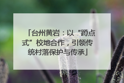 台州黄岩：以“蹲点式”校地合作，引领传统村落保护与传承