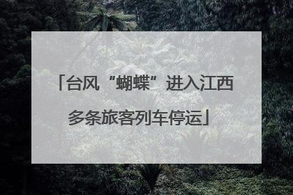 台风“蝴蝶”进入江西 多条旅客列车停运