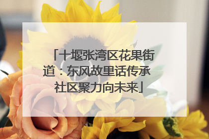 十堰张湾区花果街道：东风故里话传承 社区聚力向未来