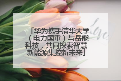 华为携手清华大学（电力国重）与岳能科技，共同探索智慧新能源集控新未来