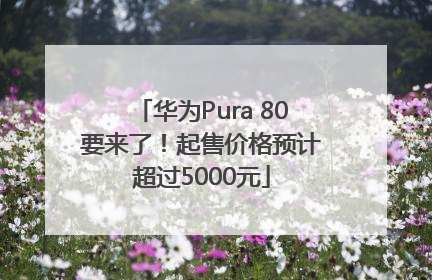 华为Pura 80要来了！起售价格预计超过5000元