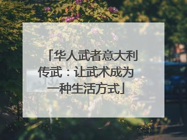 华人武者意大利传武：让武术成为一种生活方式