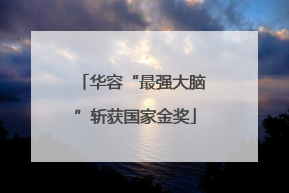 华容“最强大脑”斩获国家金奖