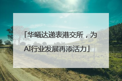 华曦达递表港交所，为AI行业发展再添活力