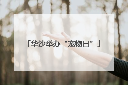 华沙举办“宠物日”