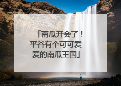 南瓜开会了！平谷有个可可爱爱的南瓜王国