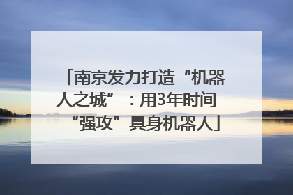 南京发力打造“机器人之城”：用3年时间“强攻”具身机器人