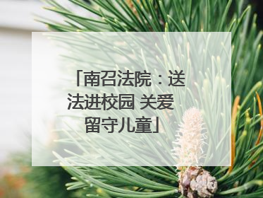 南召法院：送法进校园 关爱留守儿童