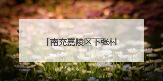 南充嘉陵区下张村里的龙舟赛，40亩的堰塘里来回跑