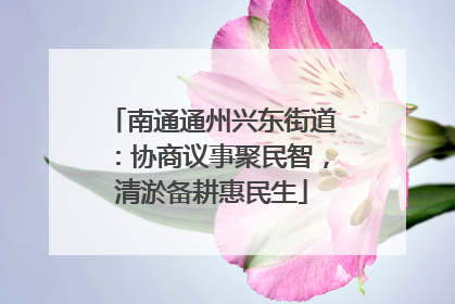 南通通州兴东街道：协商议事聚民智，清淤备耕惠民生
