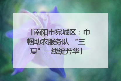 南阳市宛城区：巾帼助农服务队 “三夏”一线绽芳华