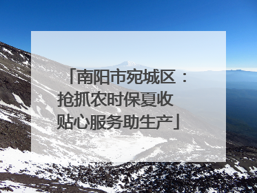 南阳市宛城区：抢抓农时保夏收 贴心服务助生产