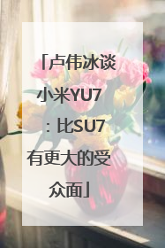 卢伟冰谈小米YU7：比SU7有更大的受众面