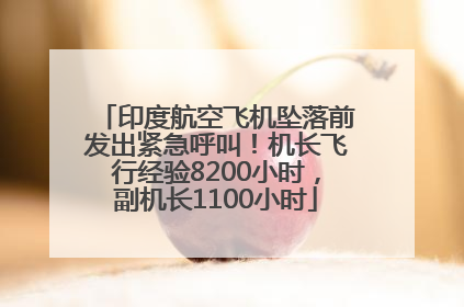 印度航空飞机坠落前发出紧急呼叫！机长飞行经验8200小时，副机长1100小时