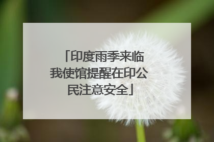 印度雨季来临 我使馆提醒在印公民注意安全