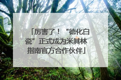 厉害了！“德化白瓷”正式成为米其林指南官方合作伙伴