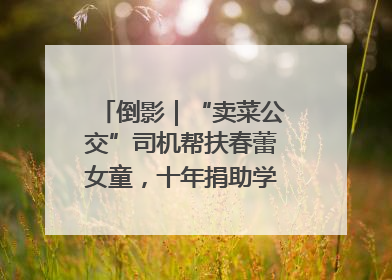 倒影｜“卖菜公交”司机帮扶春蕾女童，十年捐助学金2.5万元