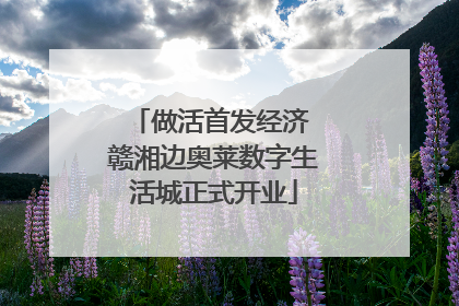 做活首发经济 赣湘边奥莱数字生活城正式开业