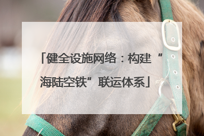 健全设施网络：构建“海陆空铁”联运体系