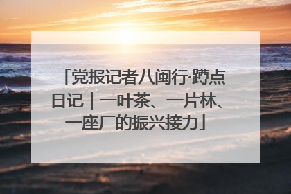 党报记者八闽行·蹲点日记｜一叶茶、一片林、一座厂的振兴接力