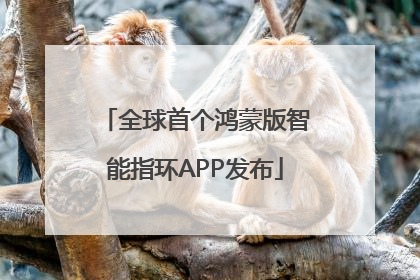 全球首个鸿蒙版智能指环APP发布