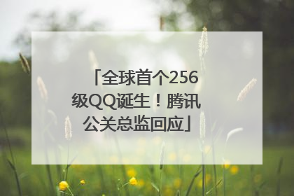 全球首个256级QQ诞生！腾讯公关总监回应